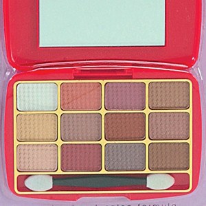 BEAUTY TREATS Stunning 12-Color Eyeshadow Kit in Browns-Red Case