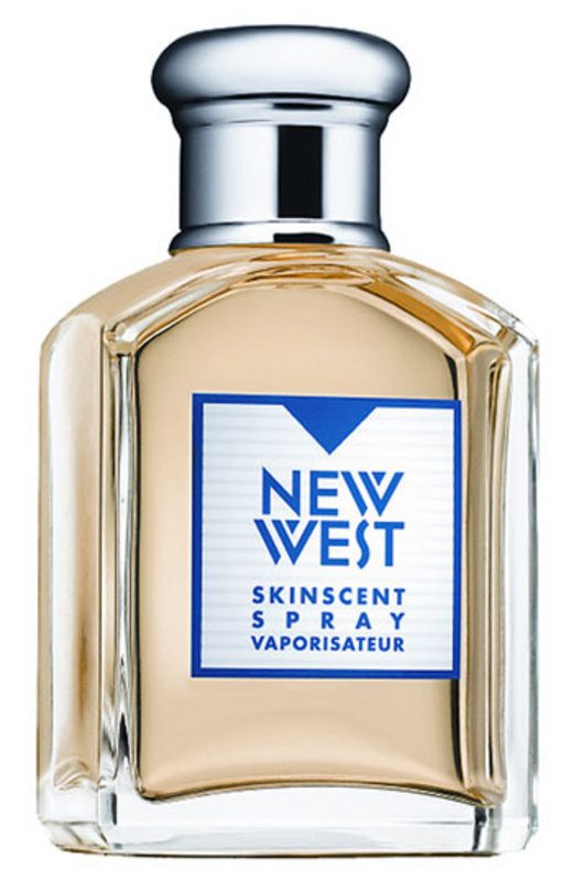 Aramis New West Men's Eau de Toilette Spray - 3.4 Oz