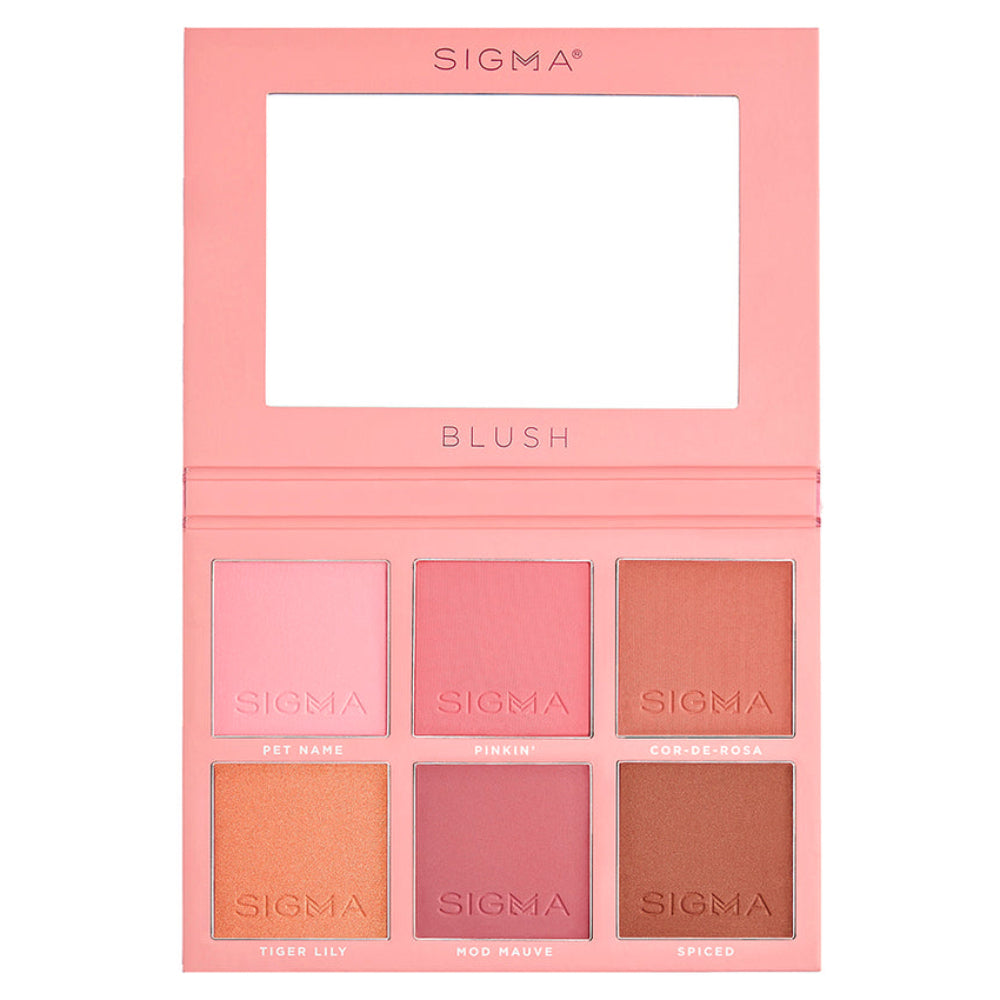 Sigma Beauty Stunning Blush Cheek Palette