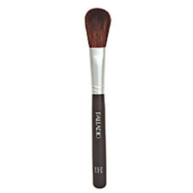 PALLADIO Luxurious Brush Blush AB456 - A Must - Have for Every Woman